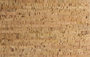 silver birch forna cork flooring
