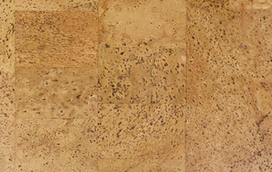 golden beach cork tile