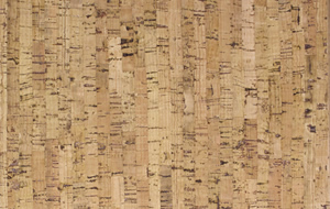 silver birch basement cork flooring